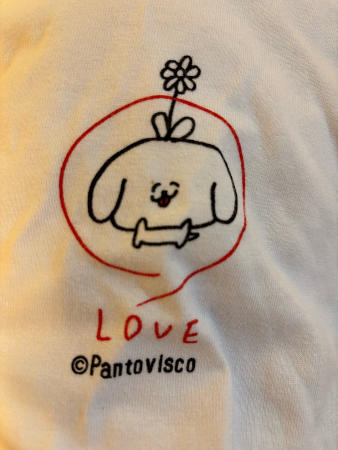 青島のお土産屋さんで買ったTシャツにプリントされていたキャラクターについてです。この可愛いキャラクターは宮崎で有名なんですか？