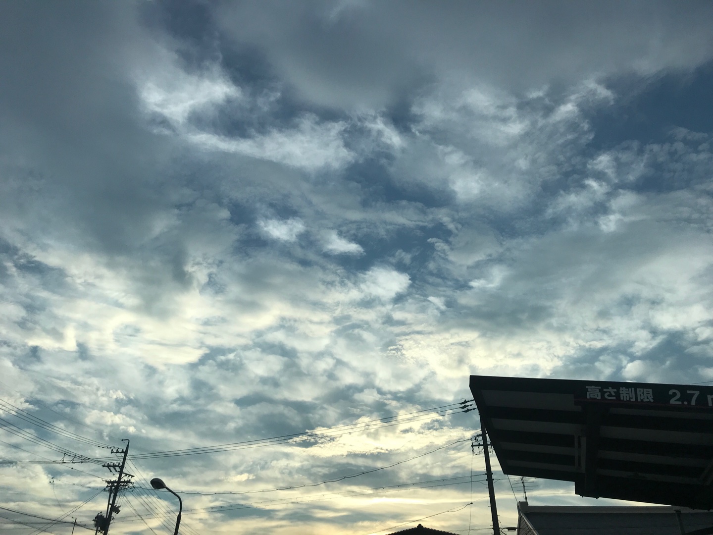 プロの引きこもりになりたい