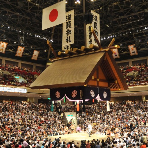 現役の、１番好きな力士は誰ですか？🐥