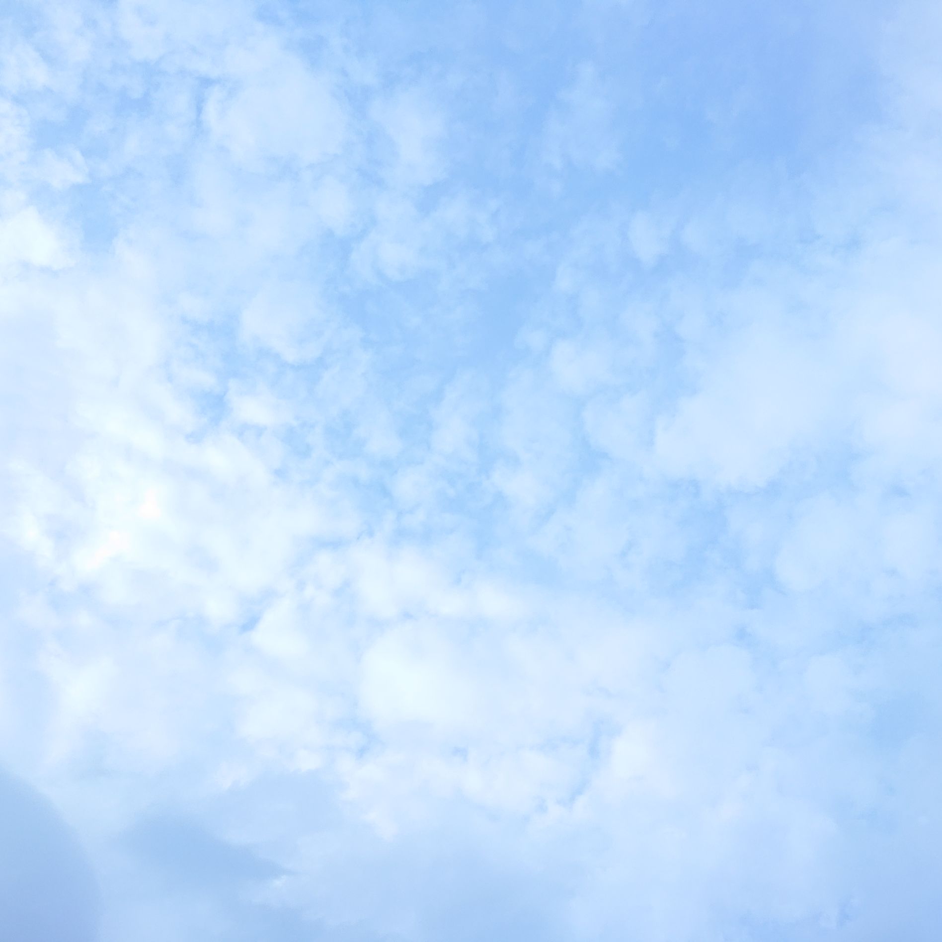 ぉぃ！君の推しは誰だお？