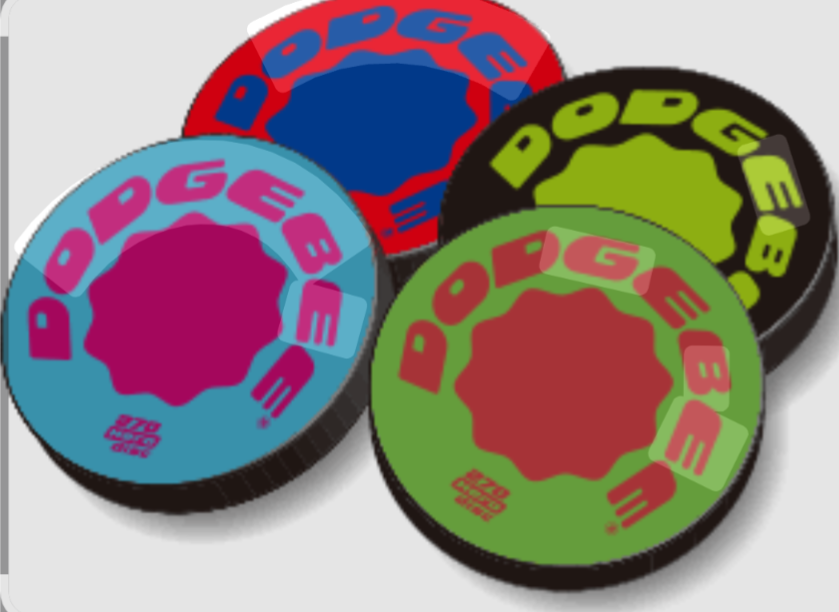 ドッヂビーってやったことある？