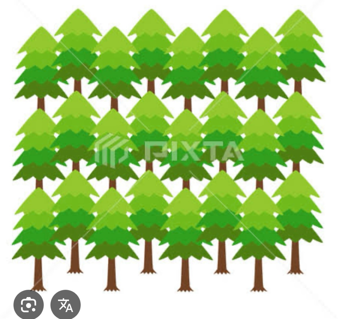 杉山サン、と言えば(^^)