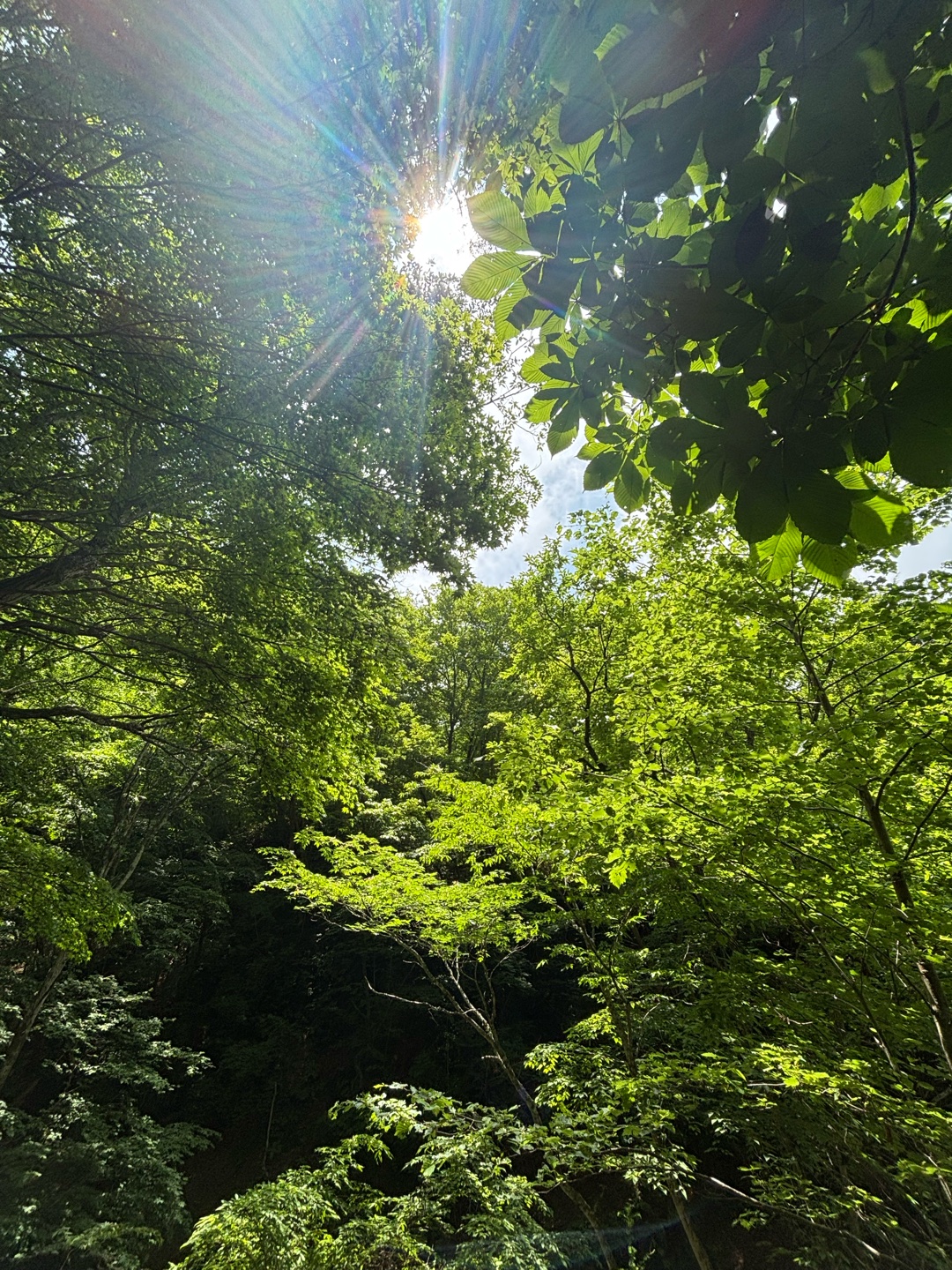 これってもしかして好きってこと？