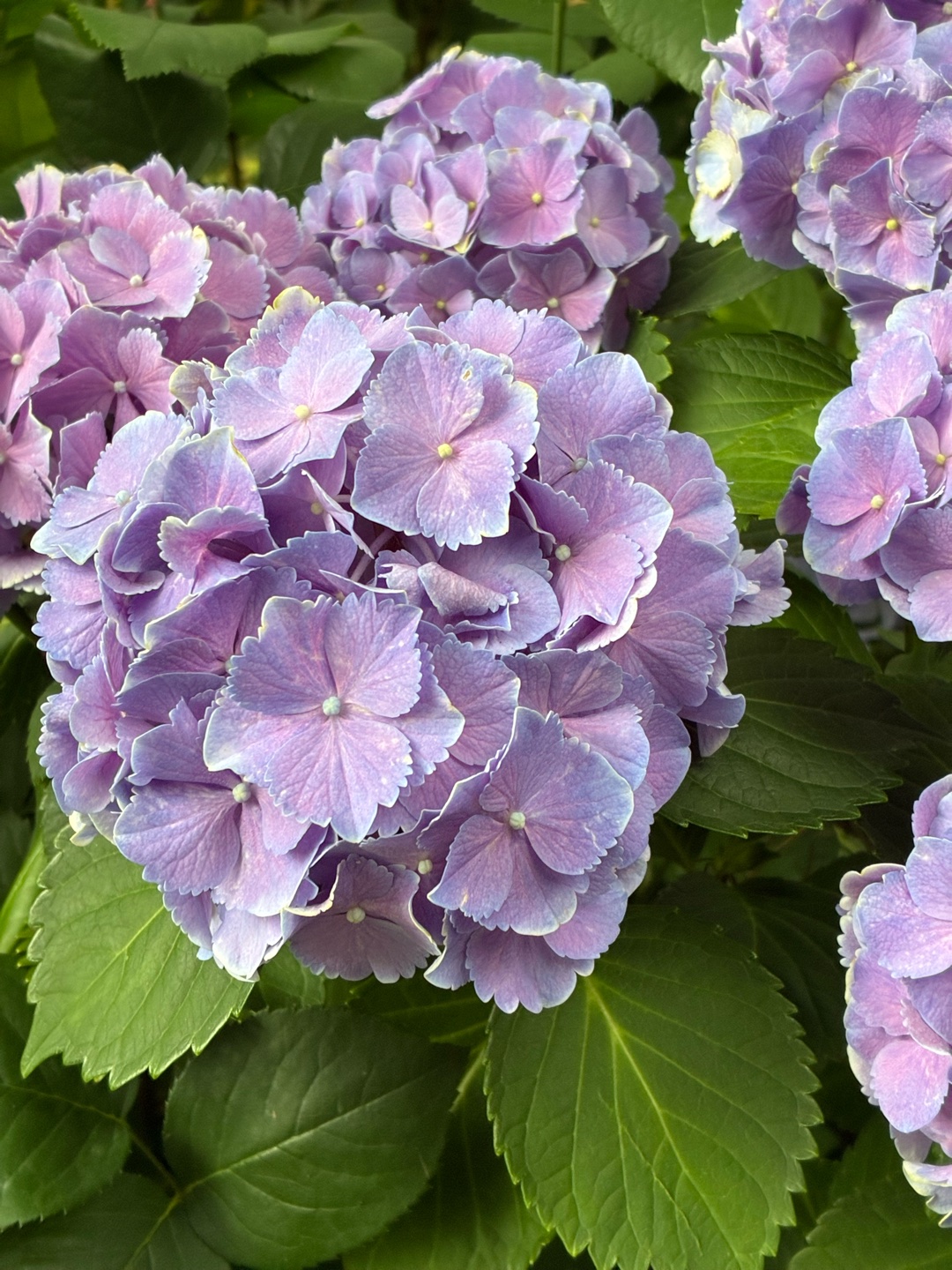 精神科心療内科の診察で何を話す？