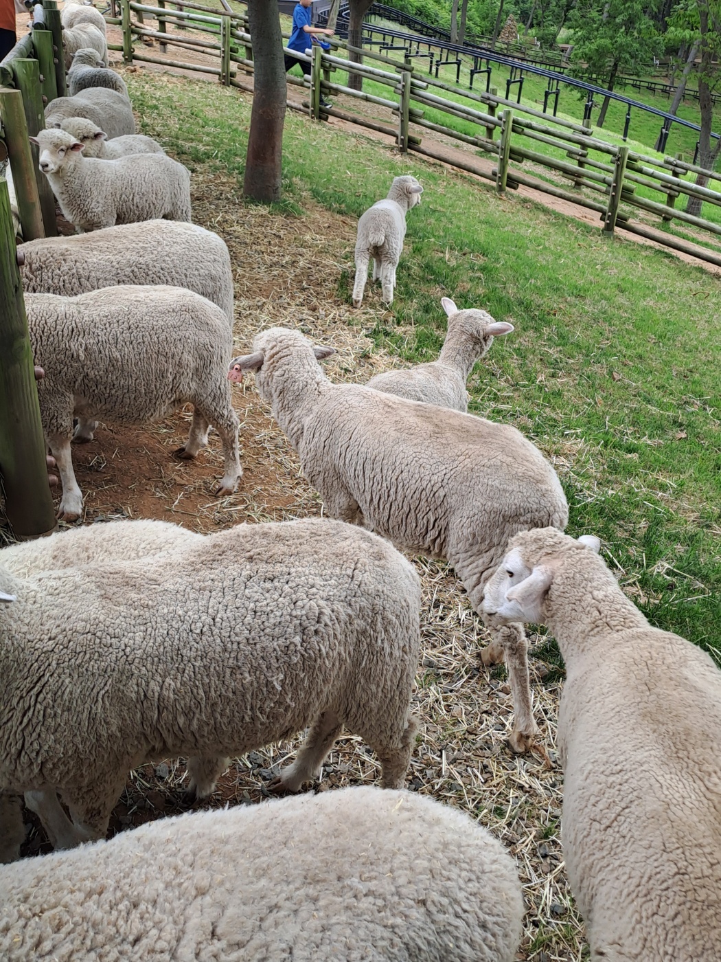 アナタの好きなアーティストや曲を教えてください。おすすめ曲も募集中です