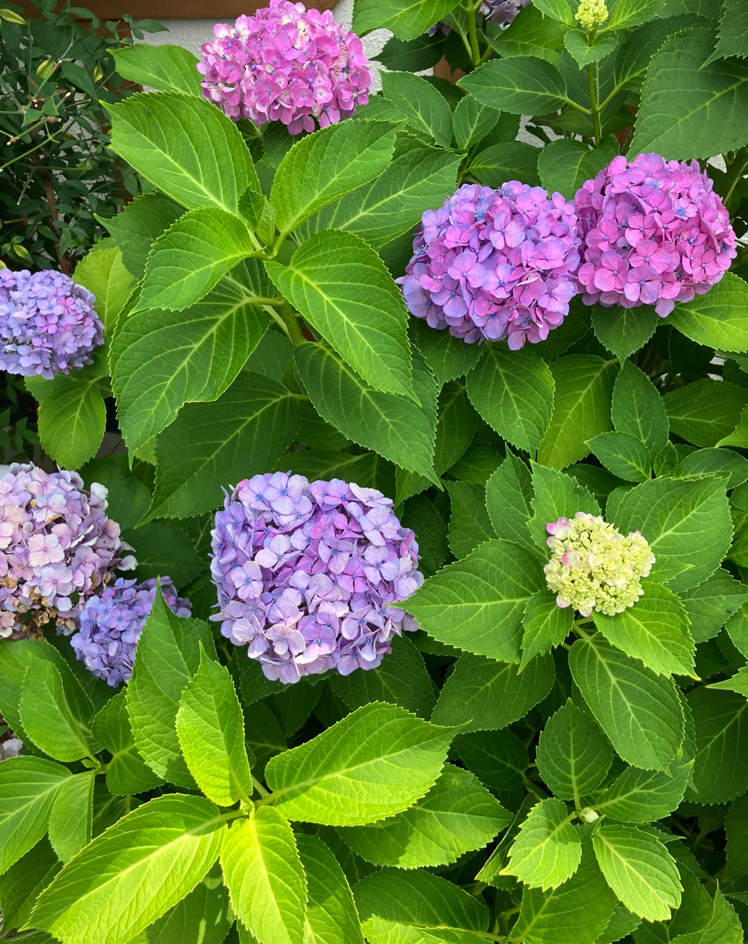 誰かに言われて元気が出たとか安心した。あるいは落ち込んでる自分にかけてあげる。そんな魔法の言葉はありますか?エピソードも教えてね♪