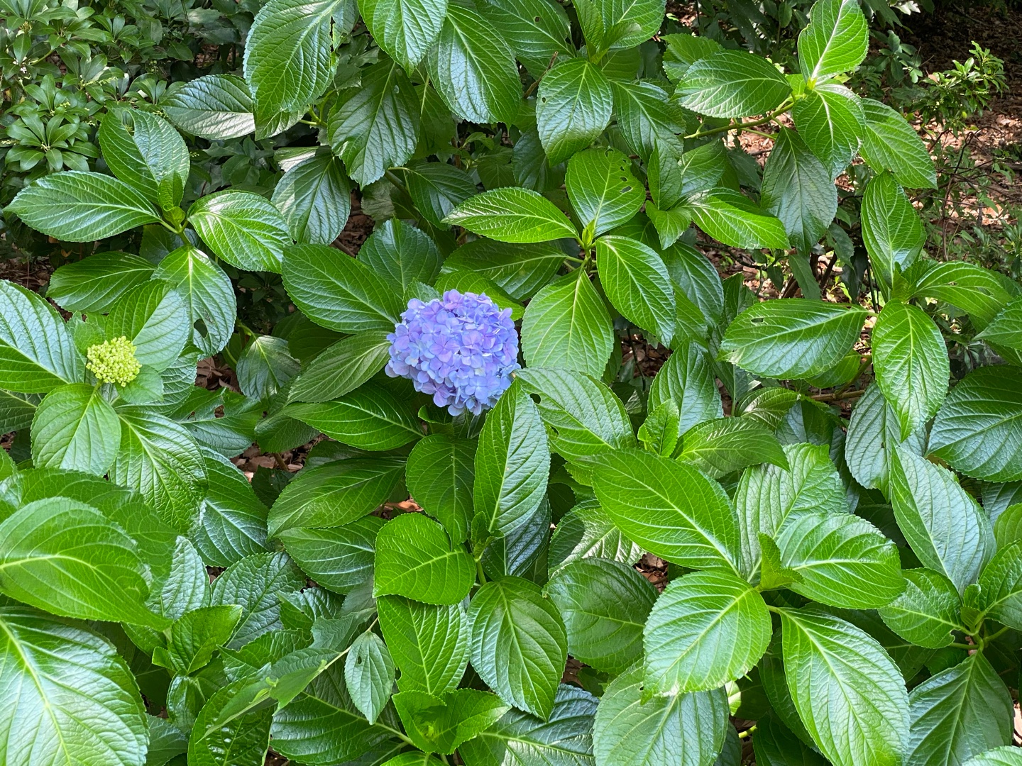 優しさって…？