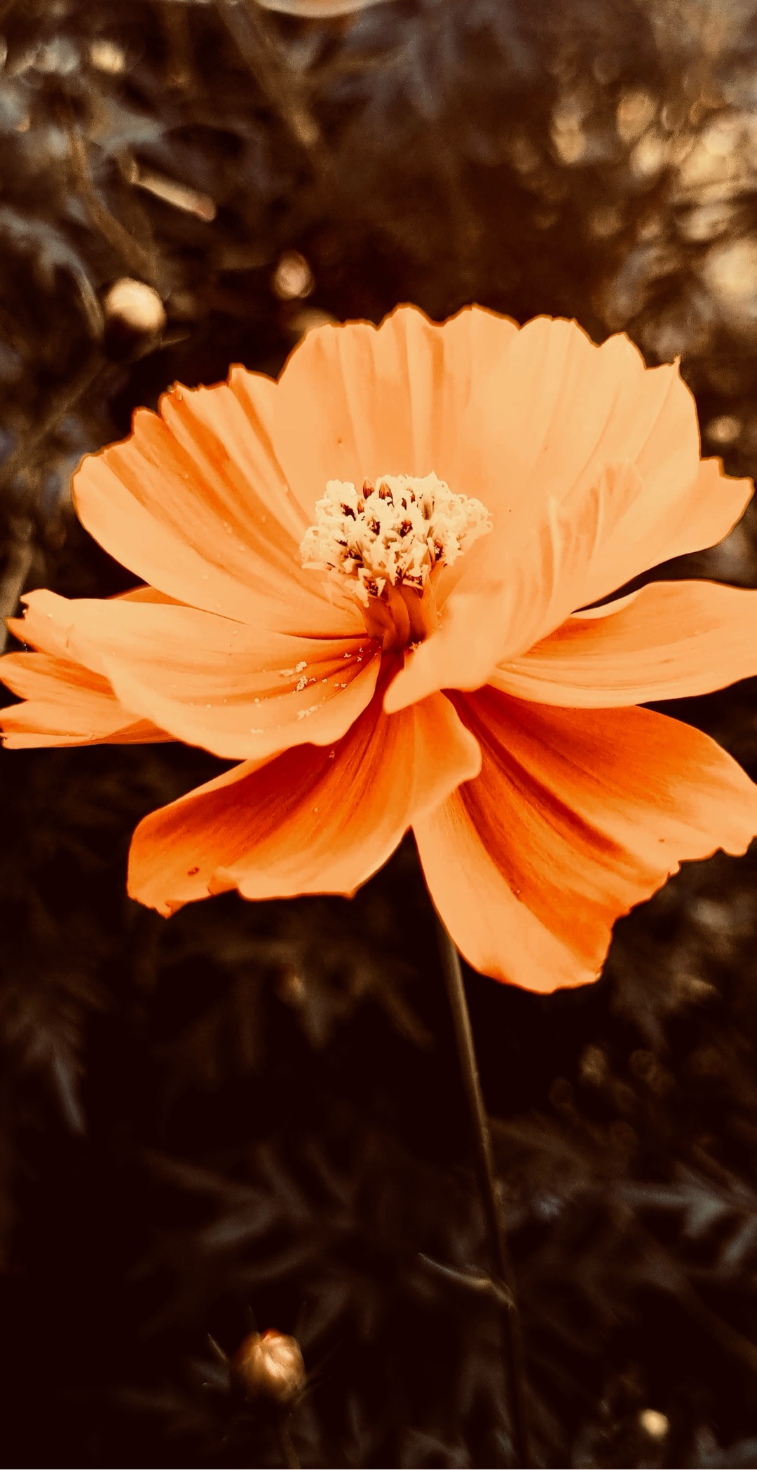 消費税20%にして、所得税+住民税の上限を45%に下げれば釣り合う