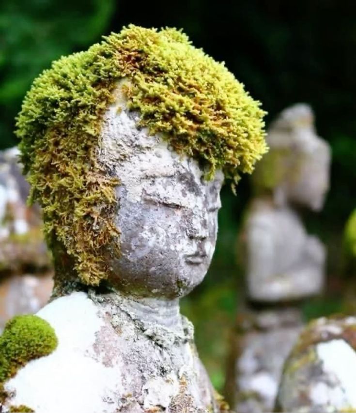 写真で一言(対峙する2体のお地蔵)