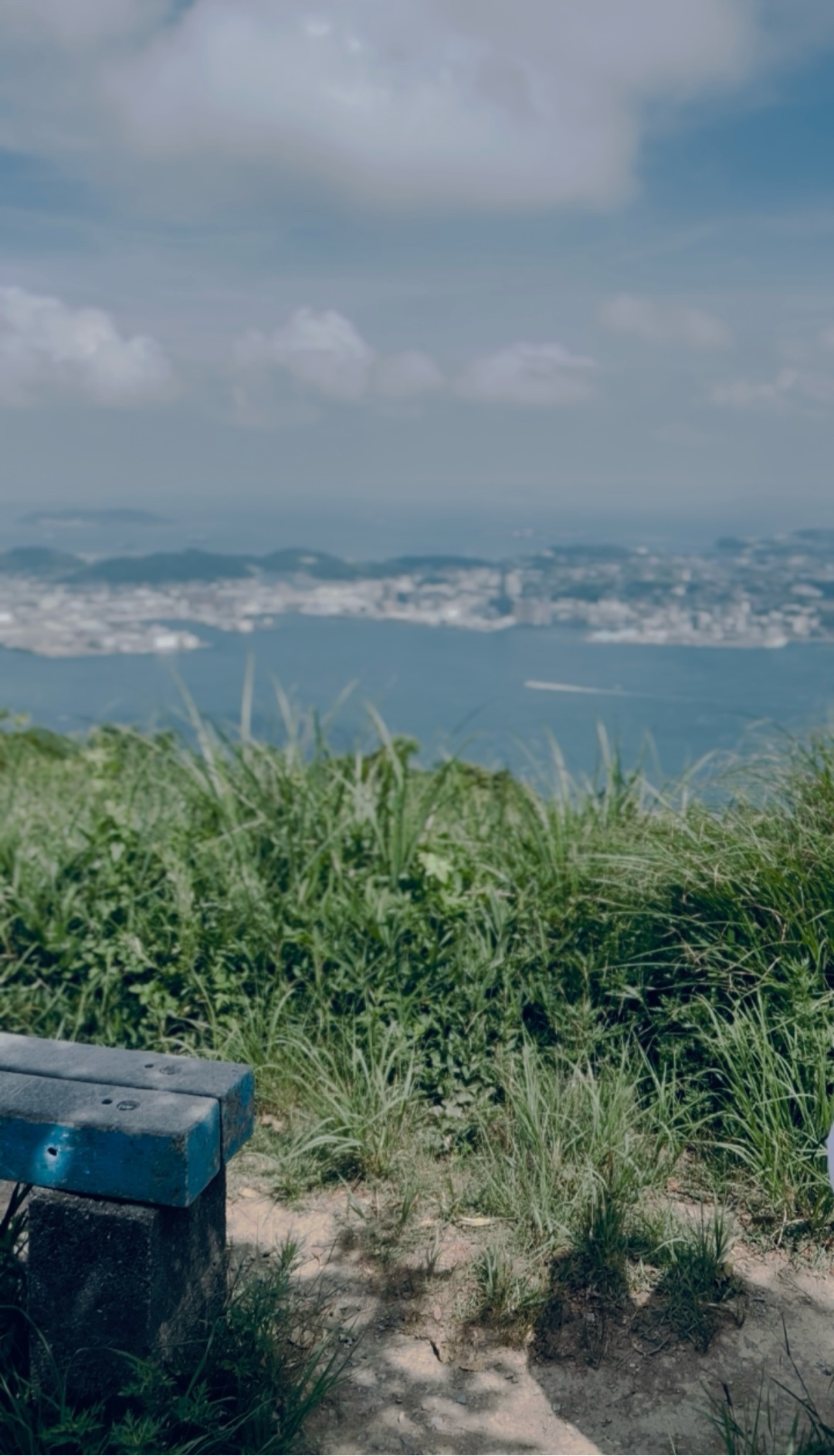 夏らしいいい写真撮れたー！