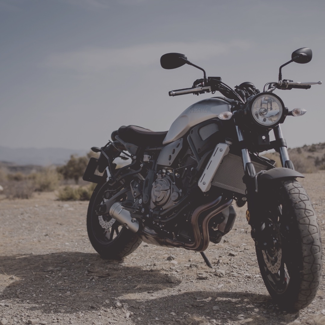 走るなら朝派？夜派？