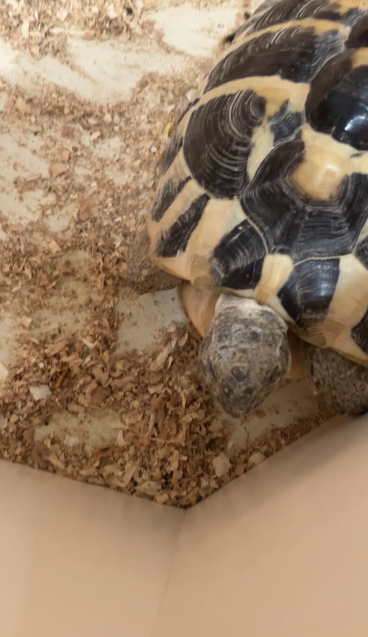 あなたが普段大切にしている習慣や行動を教えてください(いくつでも可)