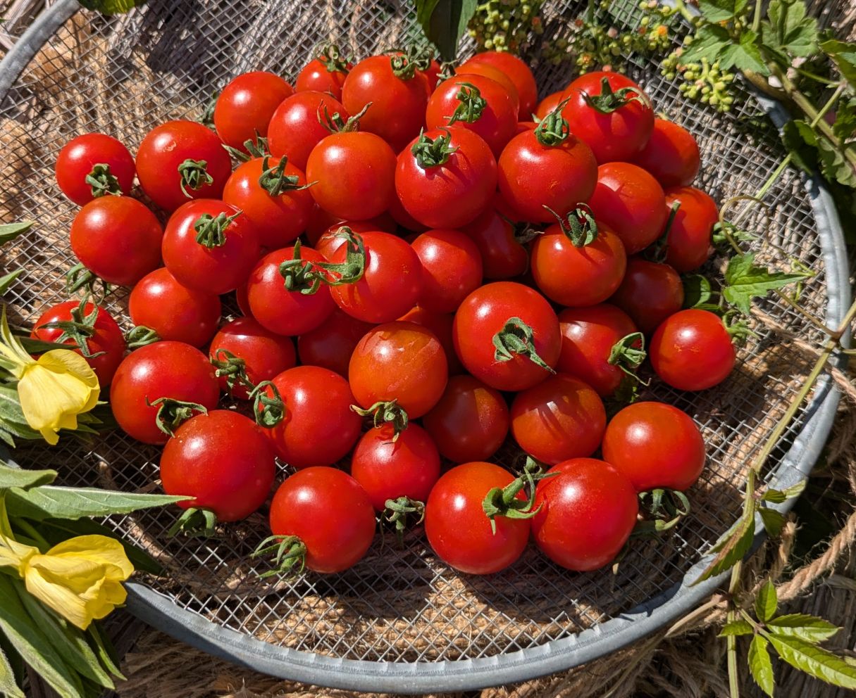 無農薬の野菜って食べたいですか？一般のものよりどの位高くても買いたいですか？