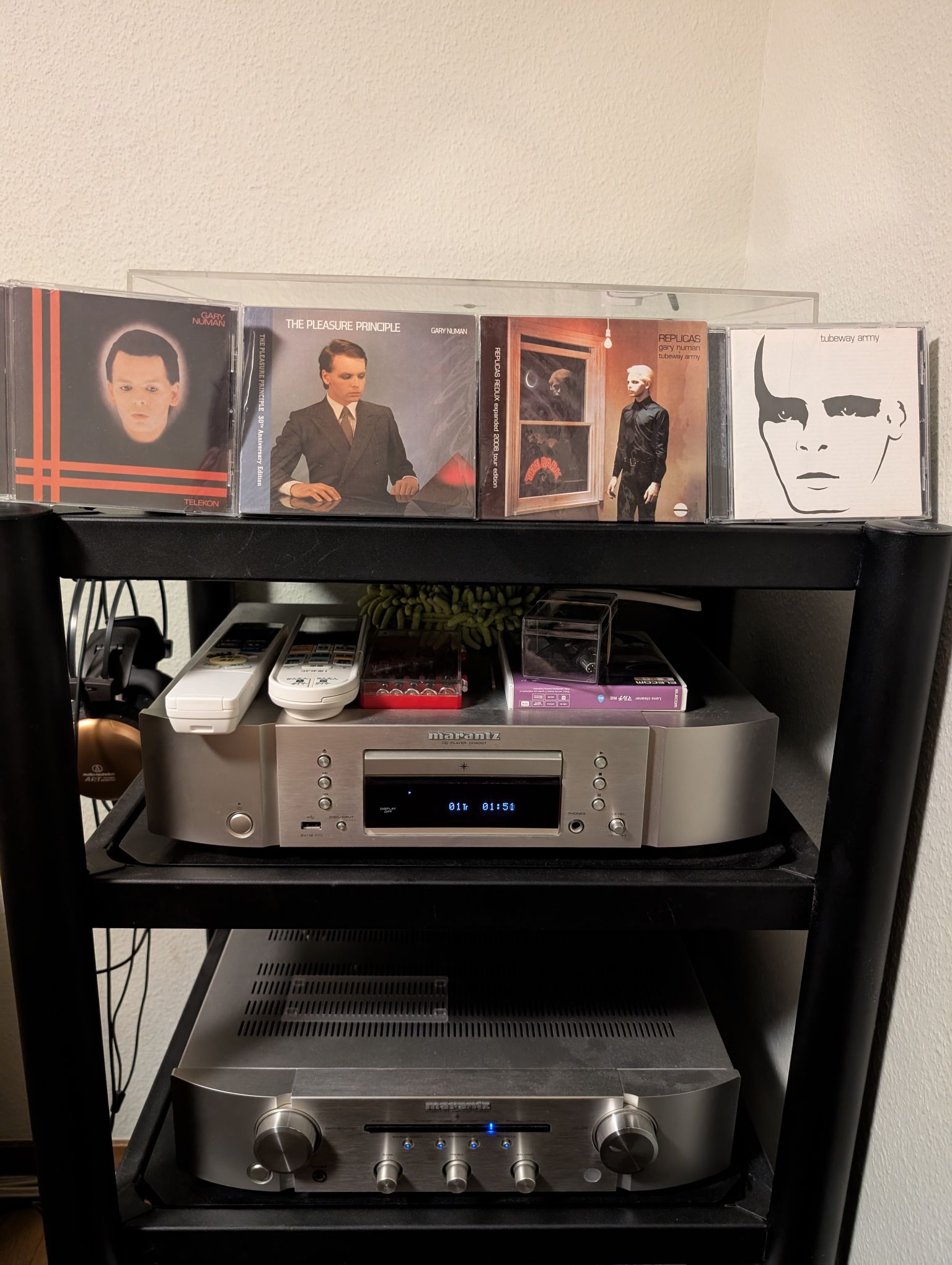 ASDのアーティスト知ってる？