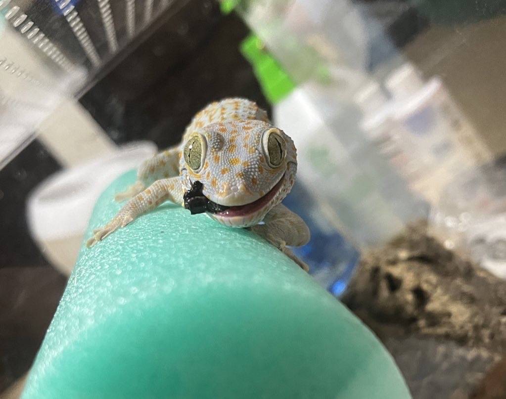 一番最初に撮った写真はなんですか？