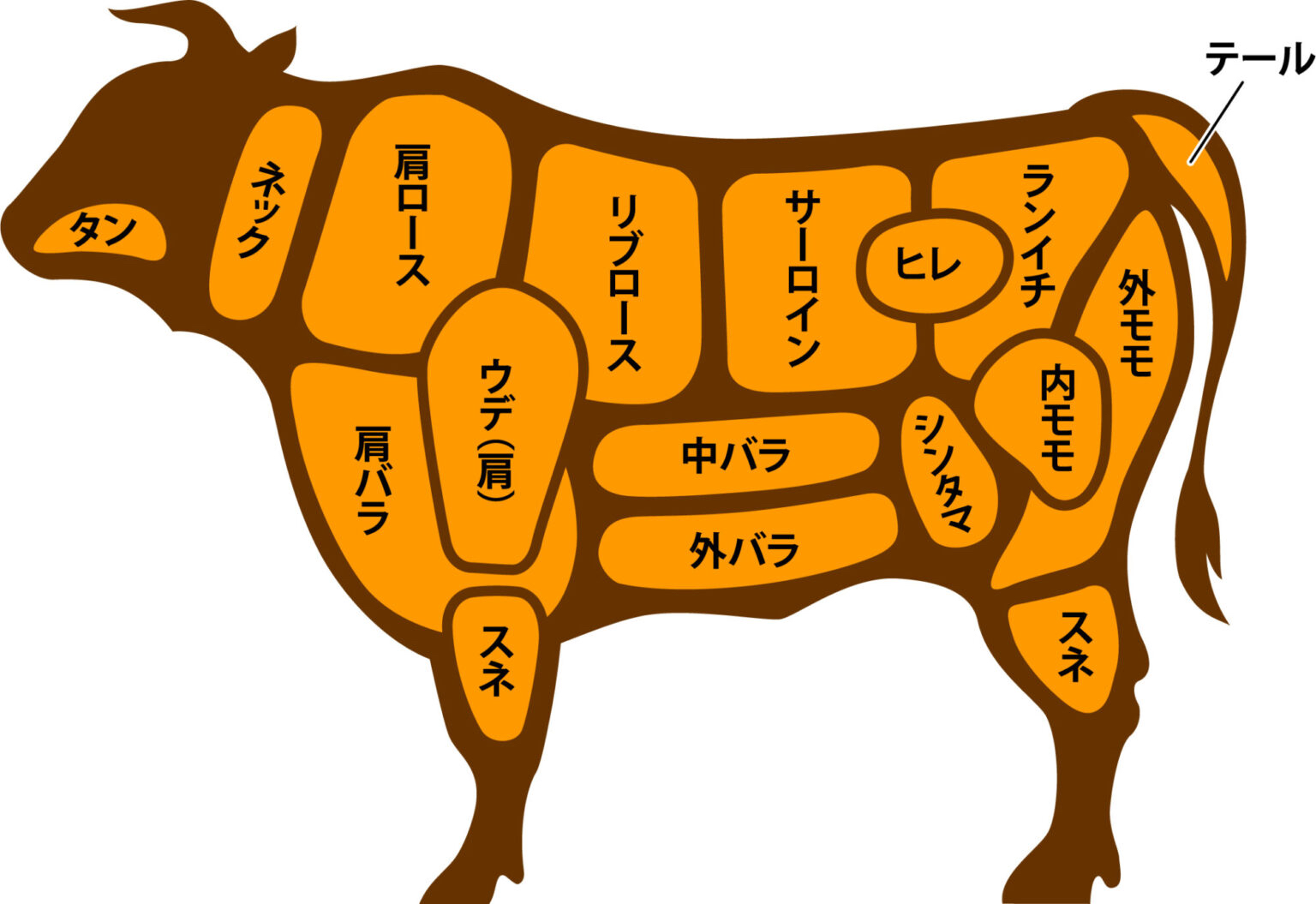 （食欲）牛肉🥩の好きな部位は？