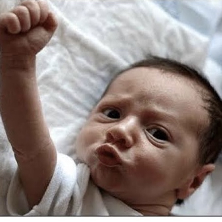 写真にひとこと！