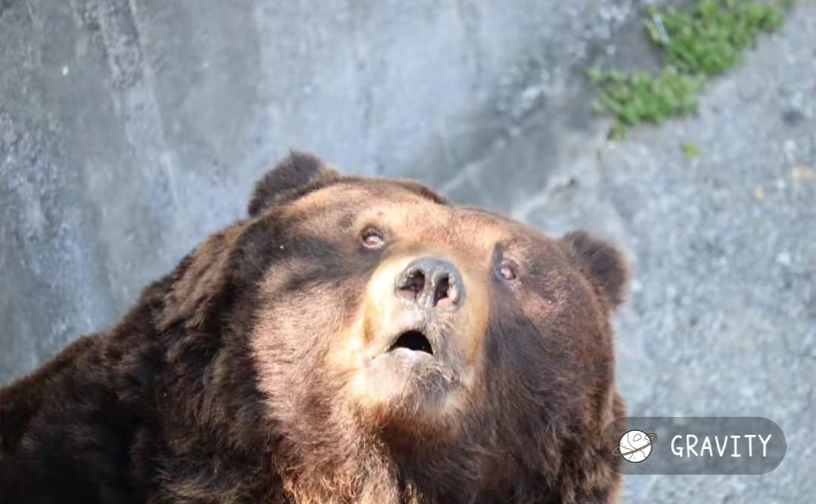 行きたい都道府県は？（なおやは宮崎と神奈川に行きたい）