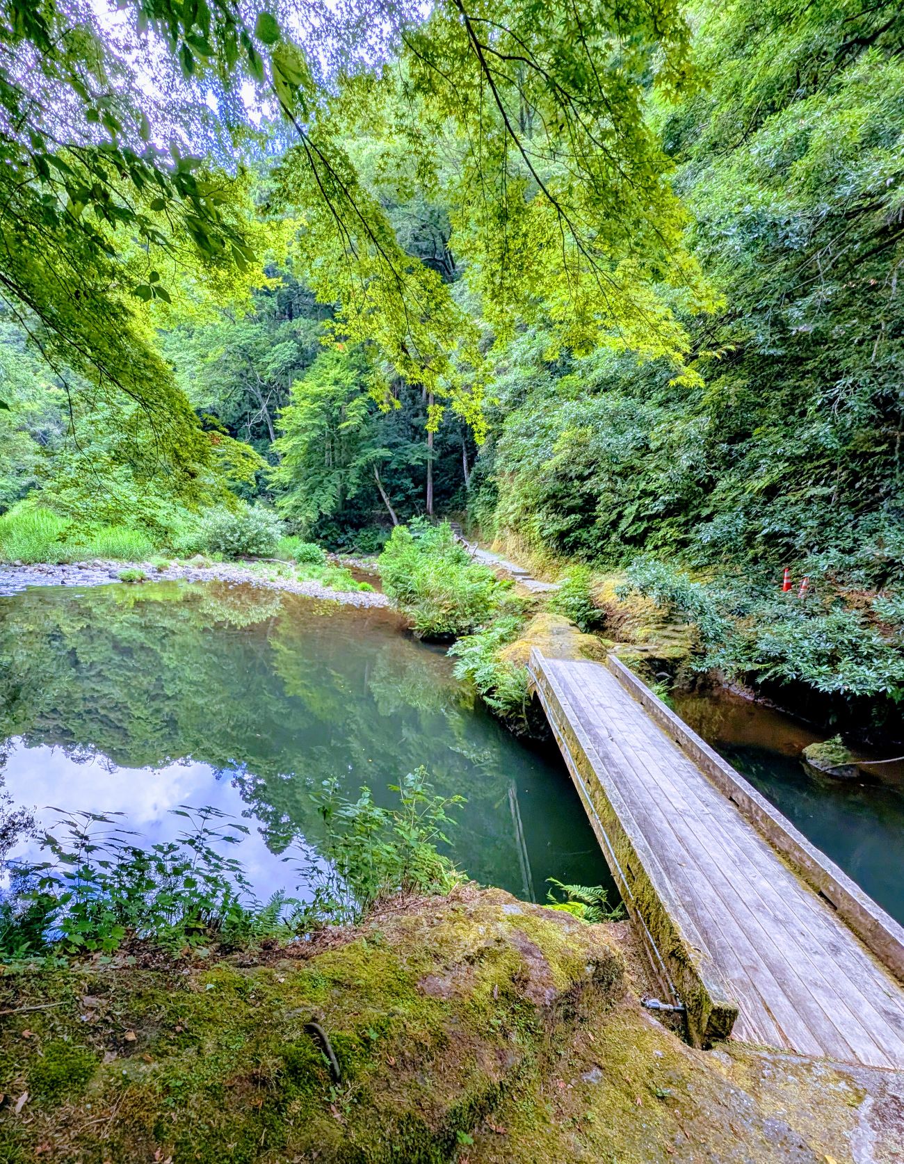 ひとりで飲んで帰る夜は