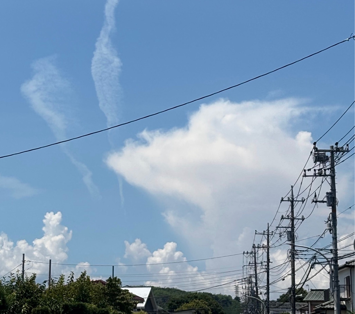 これなに見えますか！？