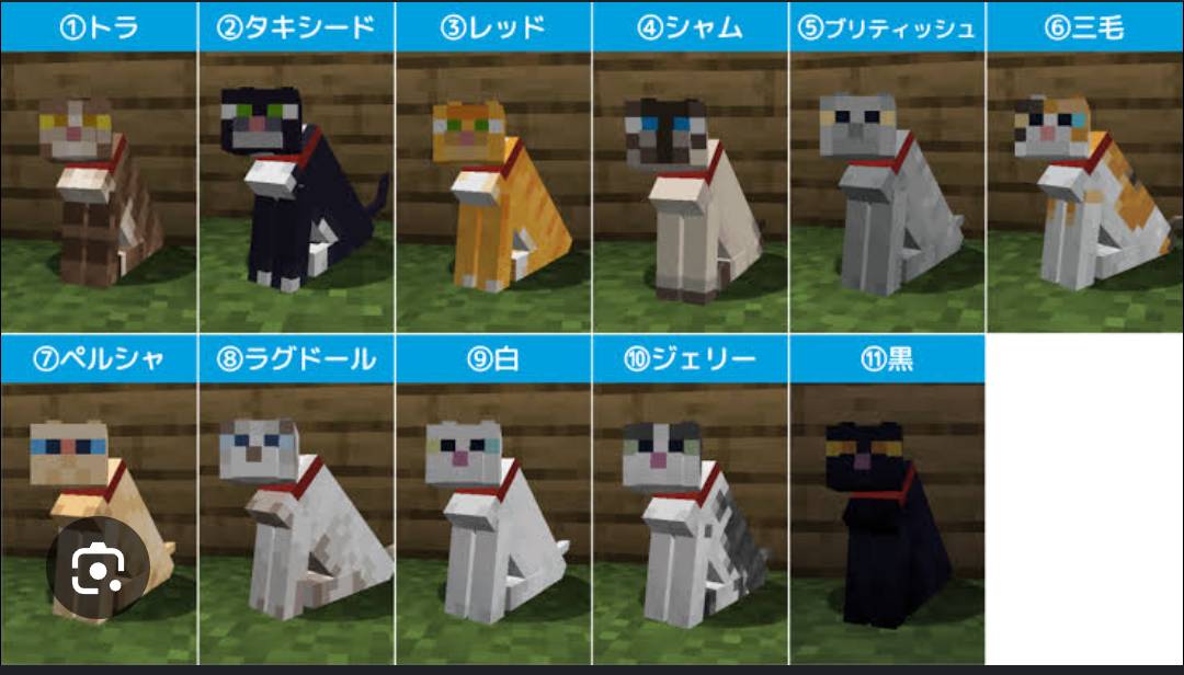 マイクラで好きな猫ちゃんは？^._.^