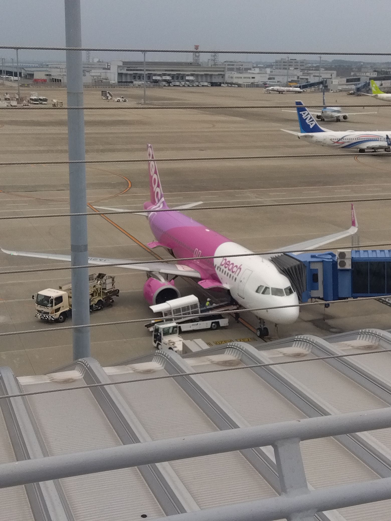 あなたのお気に入りの航空会社は？