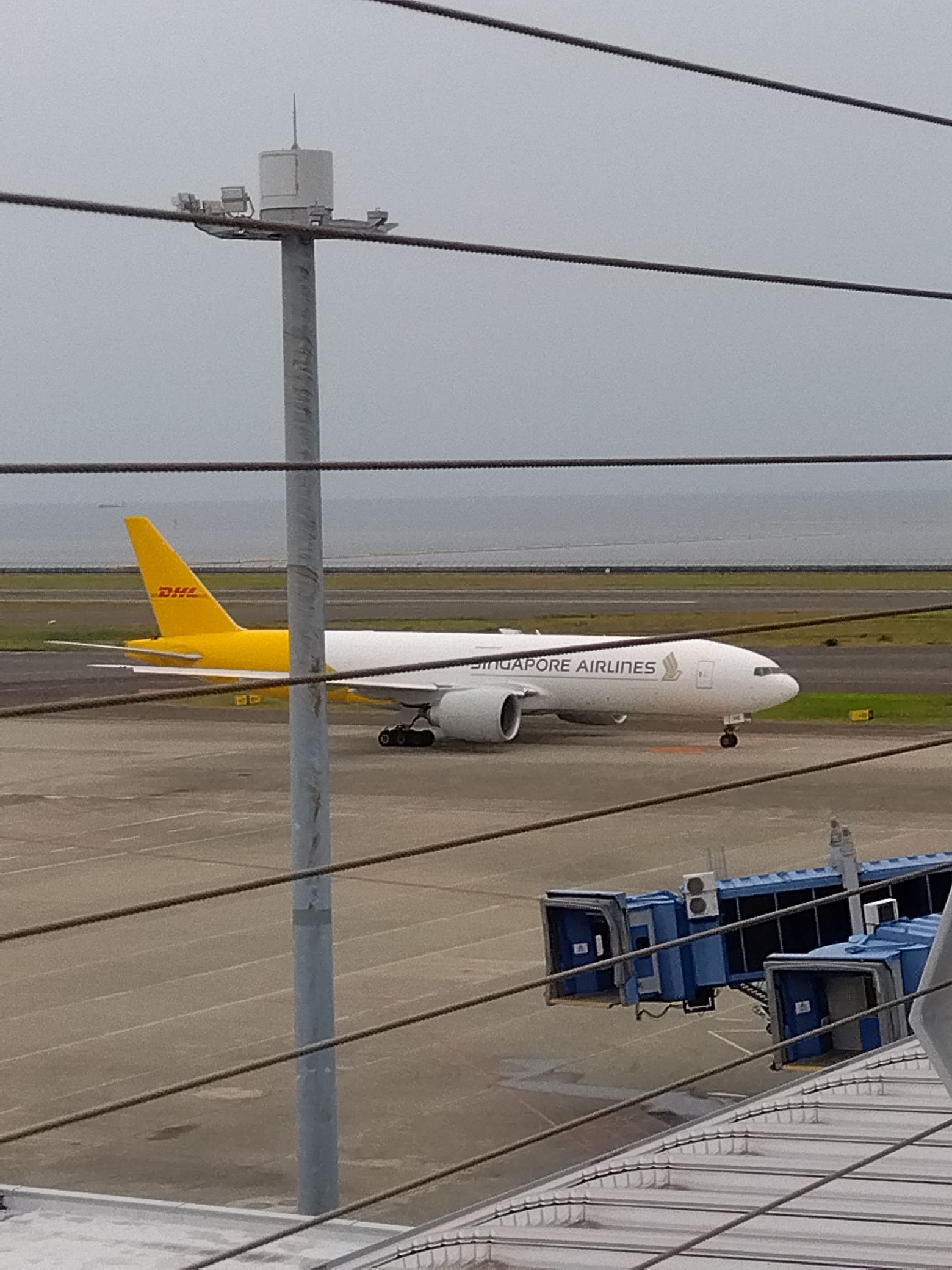 あなたのお気に入りの航空会社は？