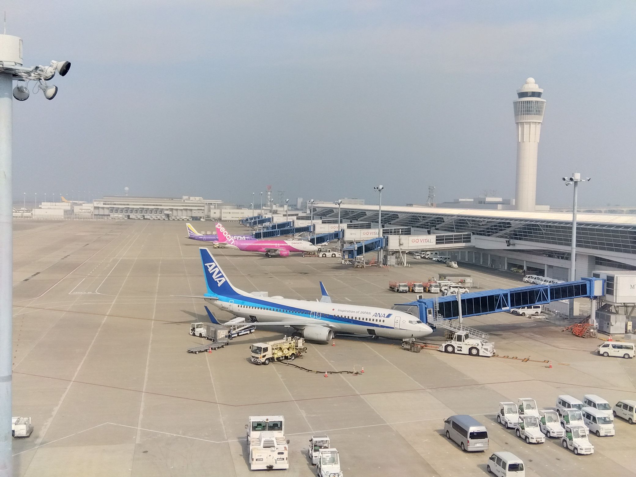 あなたのお気に入りの航空会社は？