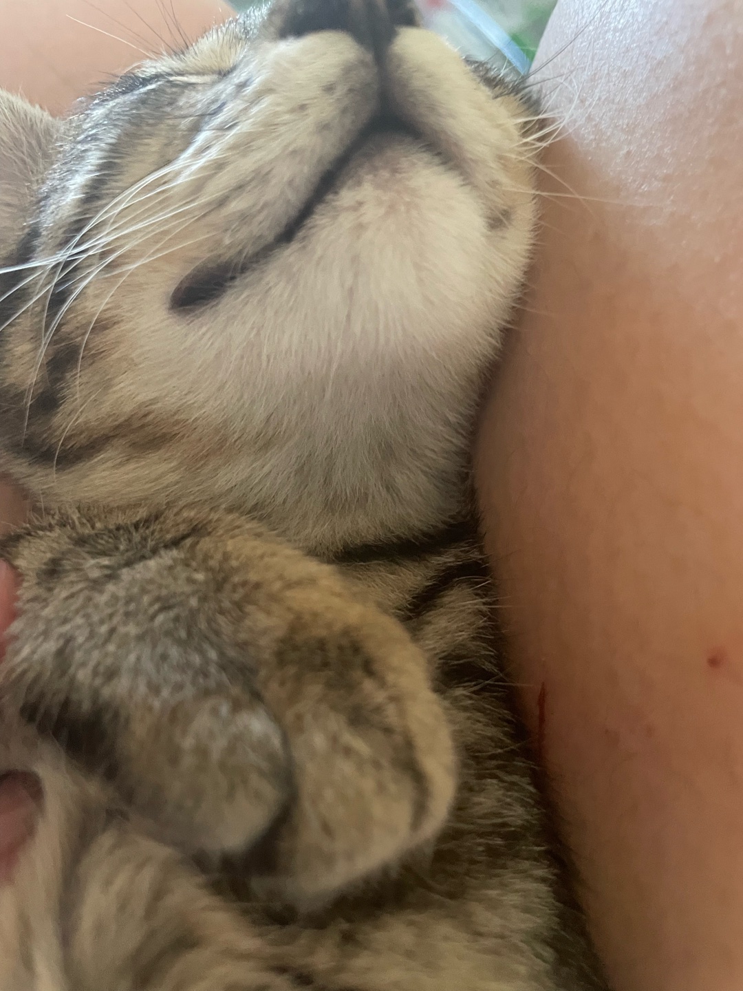 恋人または、婚約者の母親