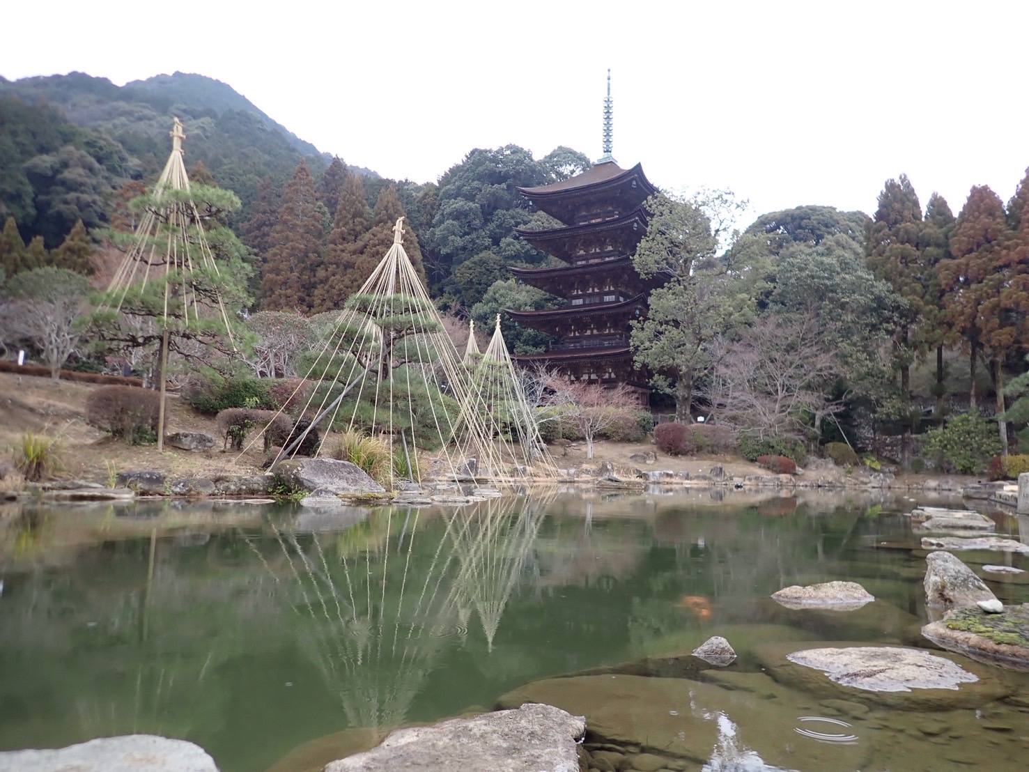 山口県の素敵な写真が撮れるスポットは?