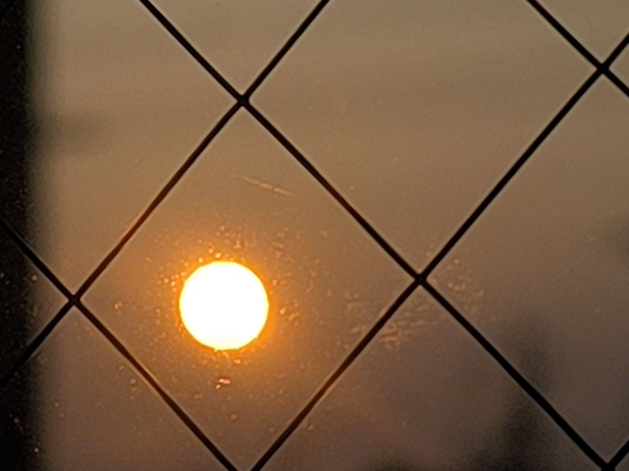 綺麗に撮れた😊😊