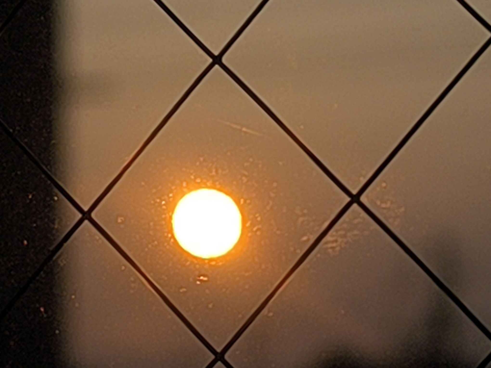 綺麗に撮れた😊😊