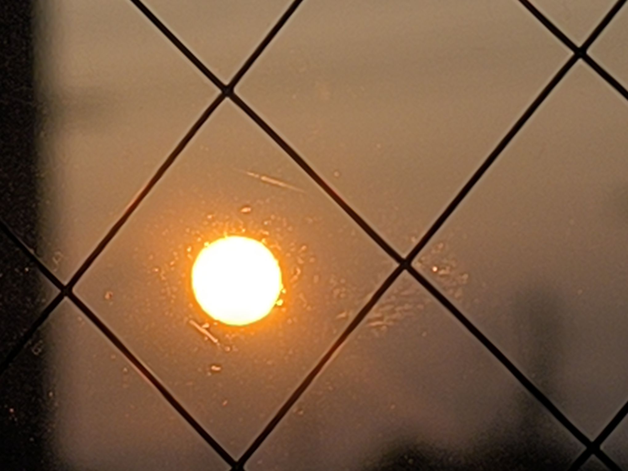 綺麗に撮れた😊😊