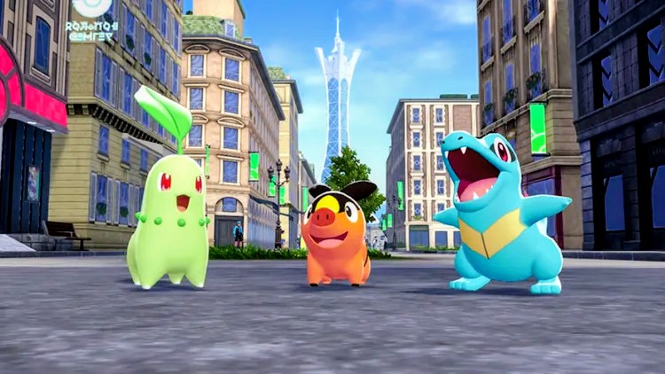 ZAの御三家どの子にしますか？