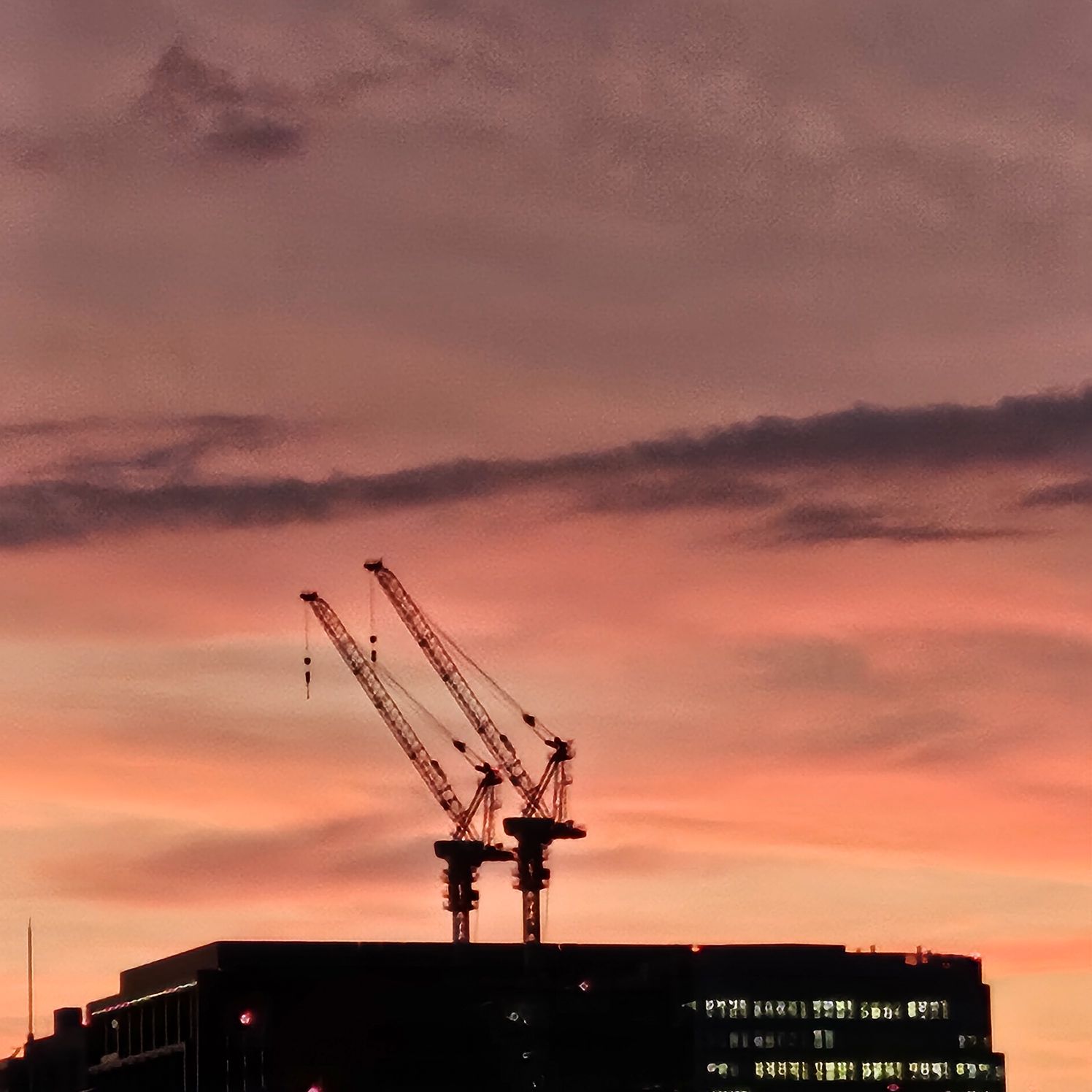 自分から消えることって逃げだと思う？