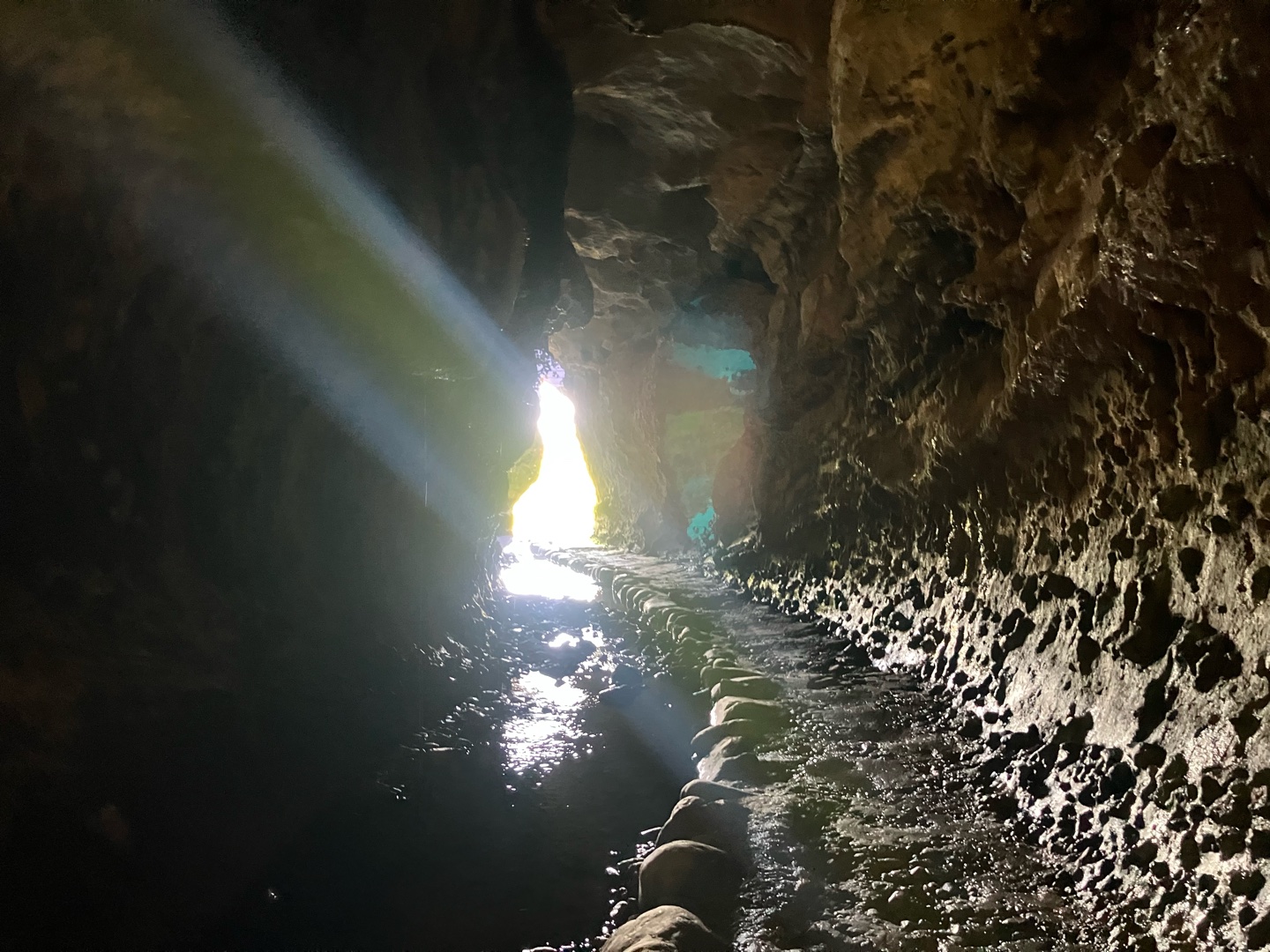 高知の好きな所は？