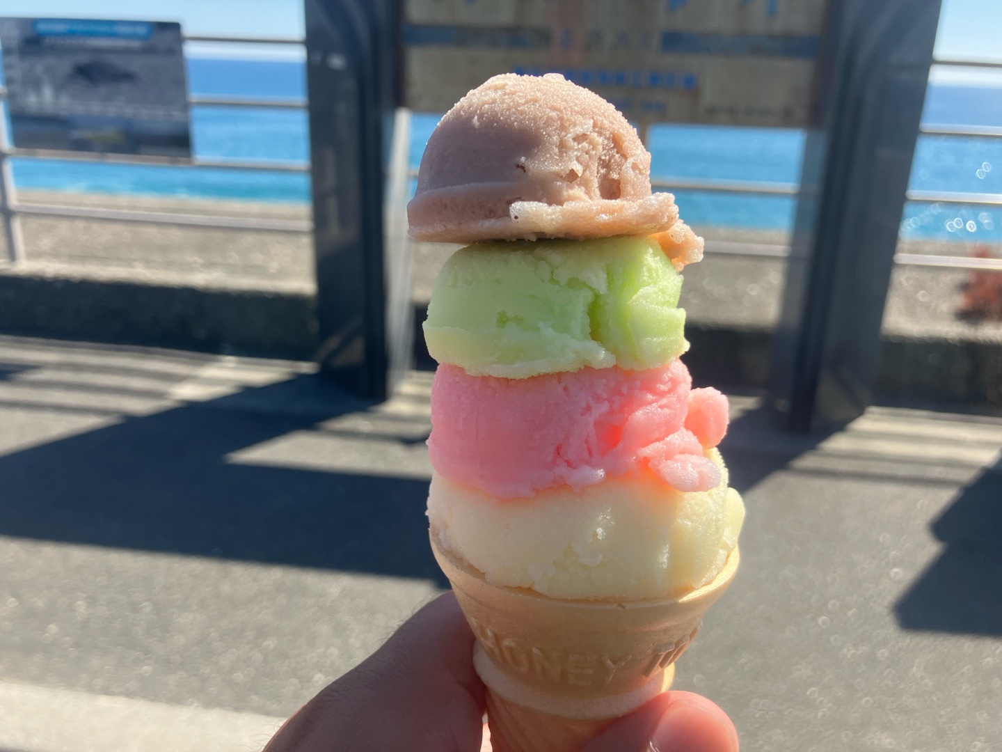 高知の好きな所は？