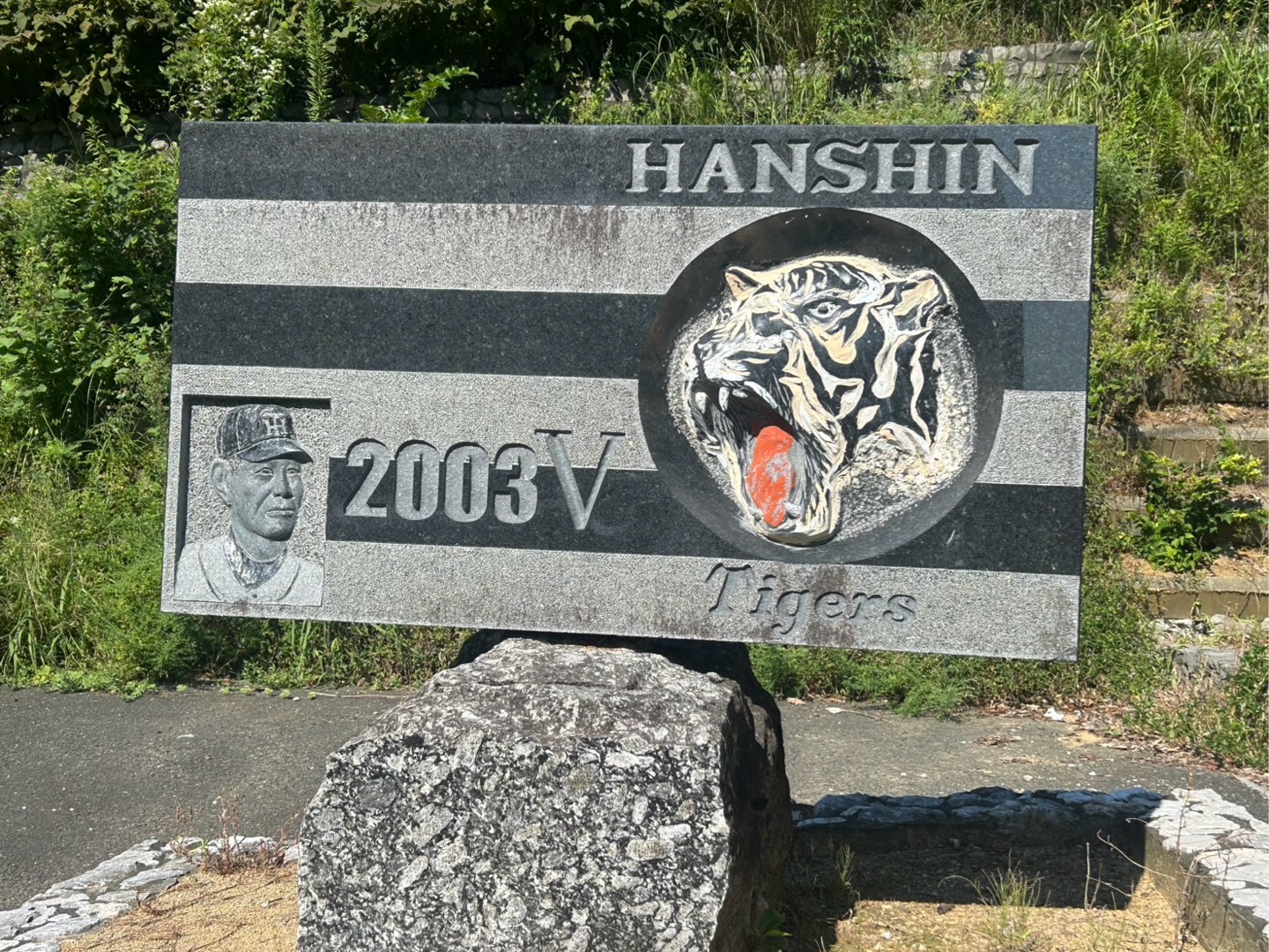 高知の好きな所は？