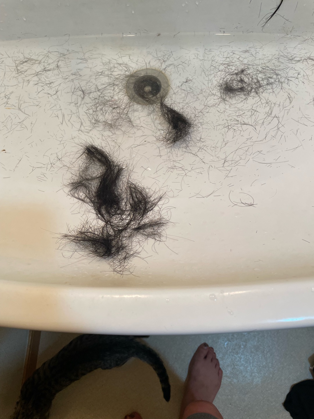 なにがおきた！？