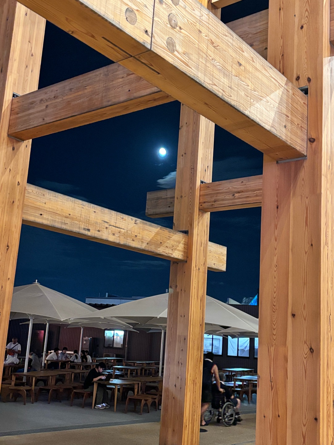 人生設計のことで^ ^