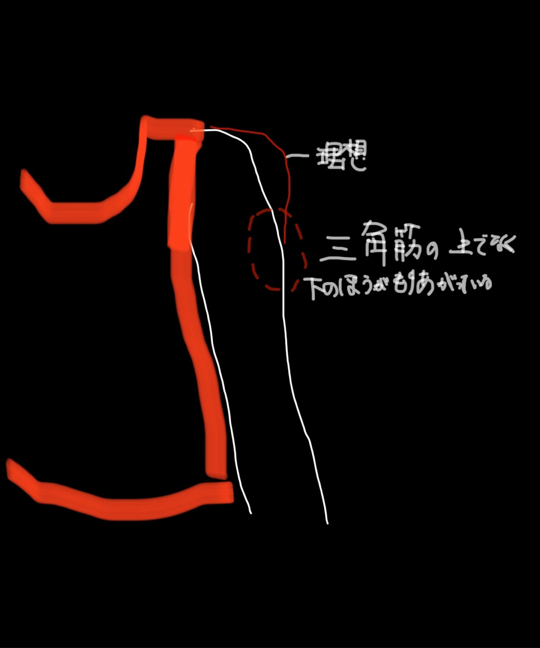 肩と腕を理想的な形にするには