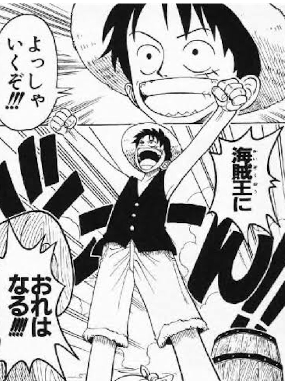 ワンピースの名シーン、さぁ目標に向かって出発だ！何になる？？