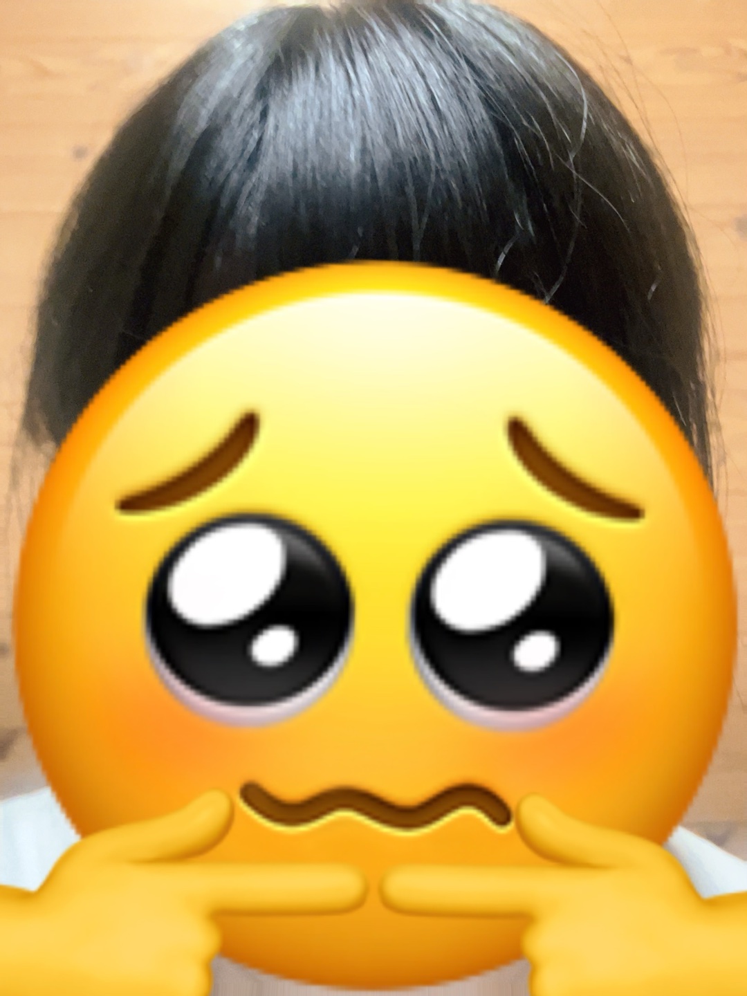 旅行プラン考え中