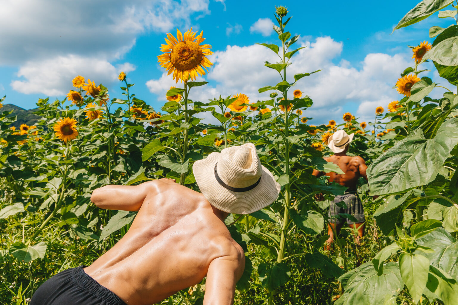お花畑でボケてみて！