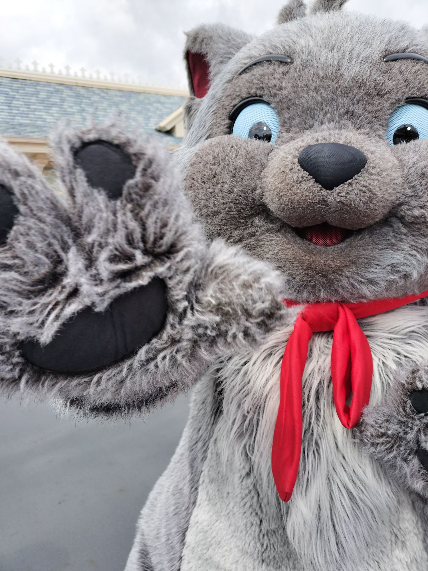 ディズニーは好きですか?