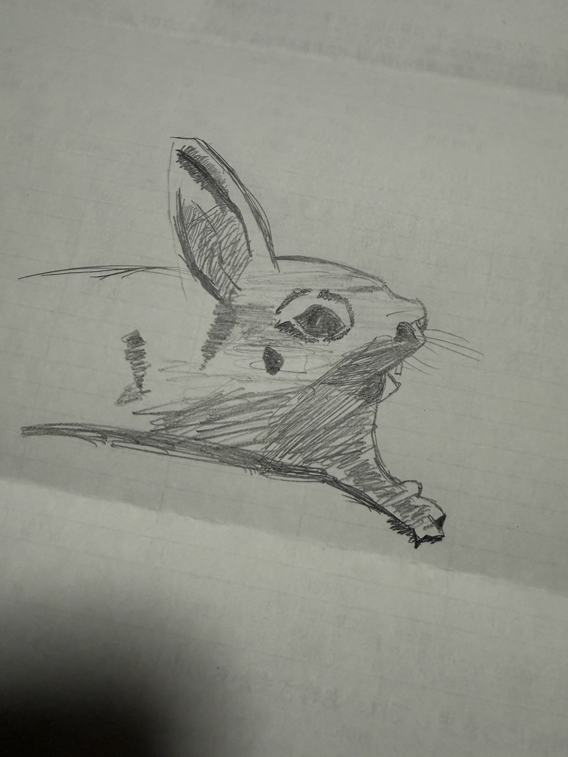 うさぎちゃん、 野菜って何好きですか？