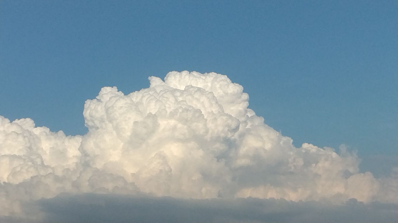 PTSD をもってますか？