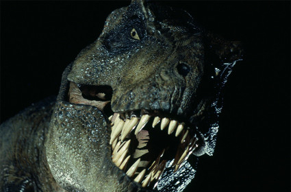 『我々は所詮猿🐒である、猿人から進化した』