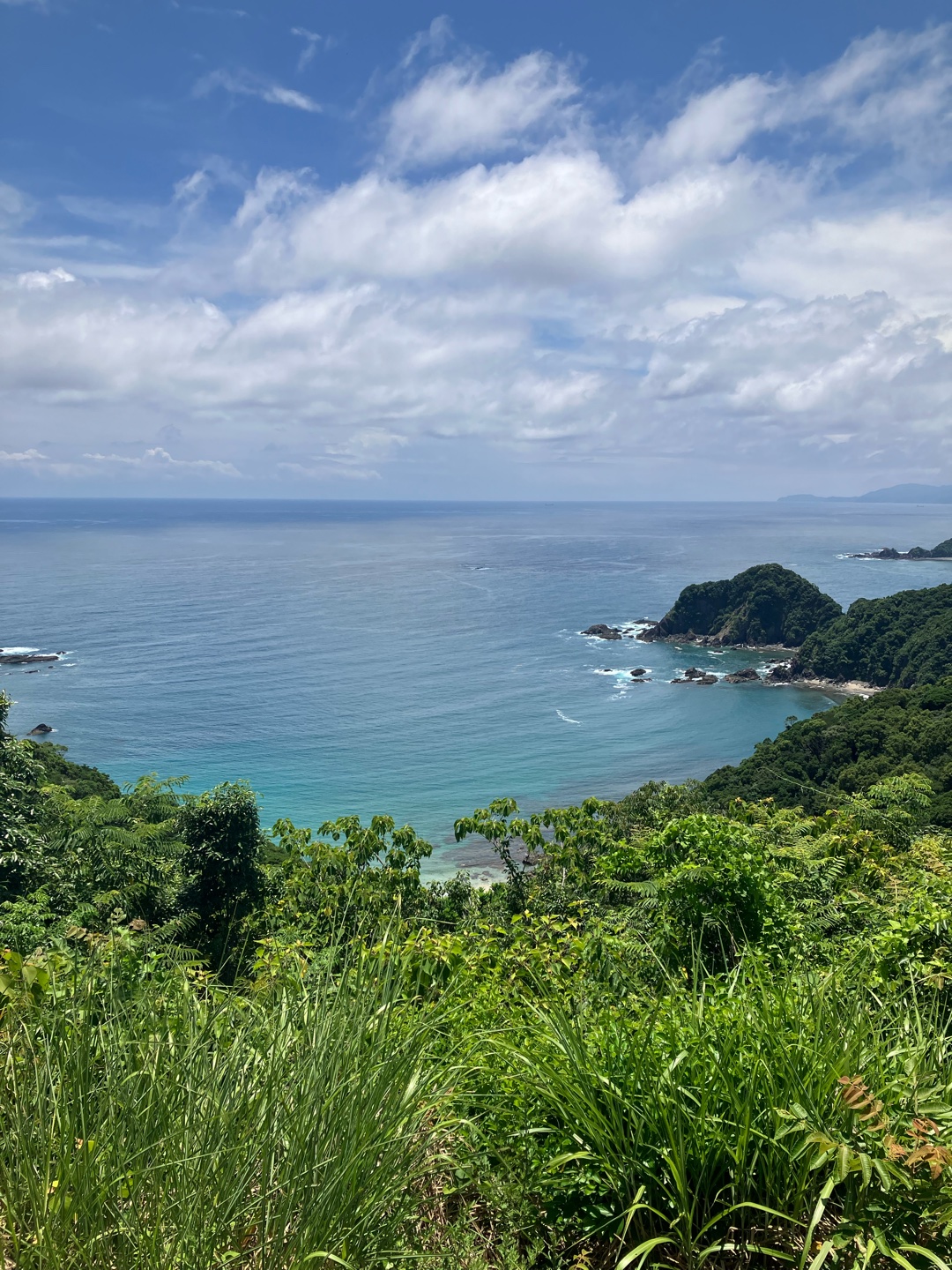 おすすめ洋楽は？