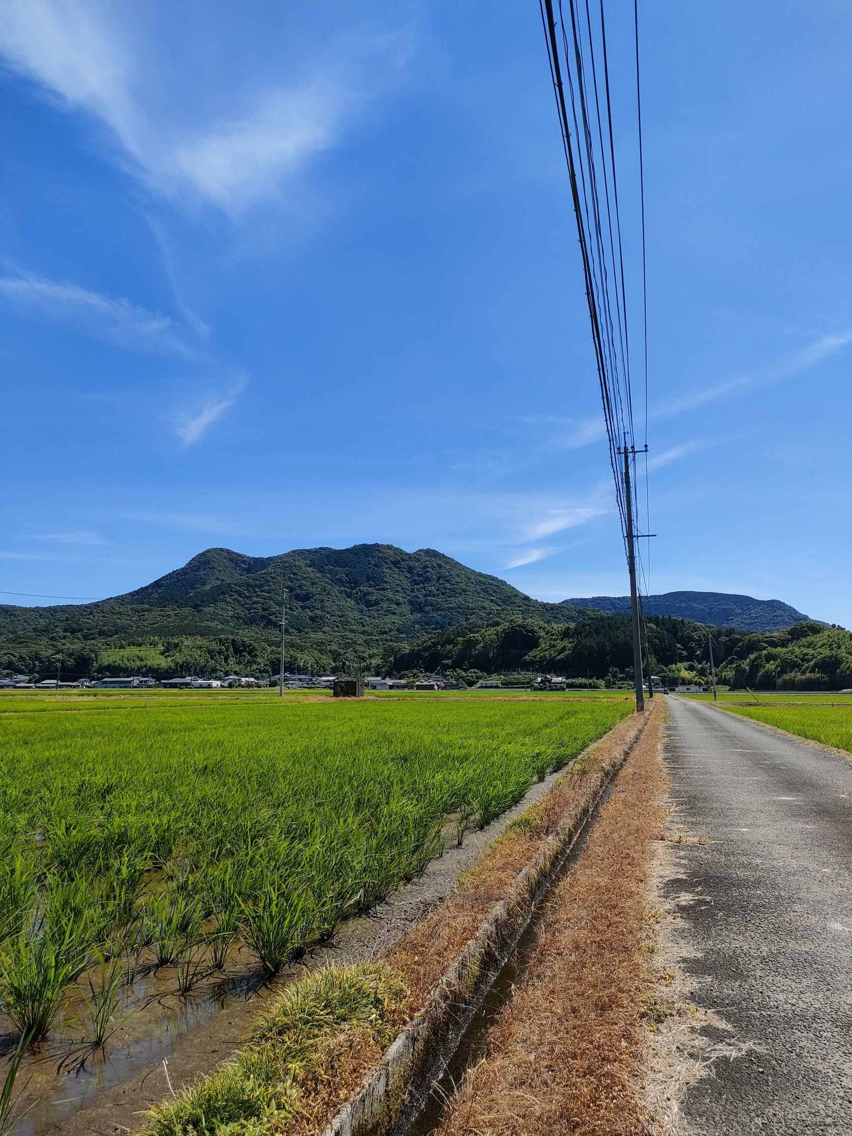 出身県何処(゜Д゜≡゜Д゜)?